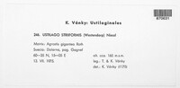 Image Associated With the Occurence